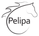 Spin-offs_logo Pelipa